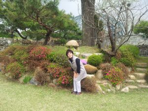 2013진접