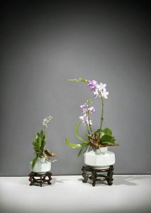 2017041009
